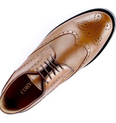 Derby CORVALLO Porter Camel Cuir