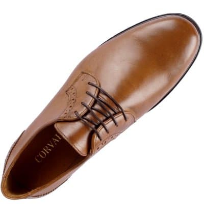 Derby CORVALLO Everett Camel Cuir