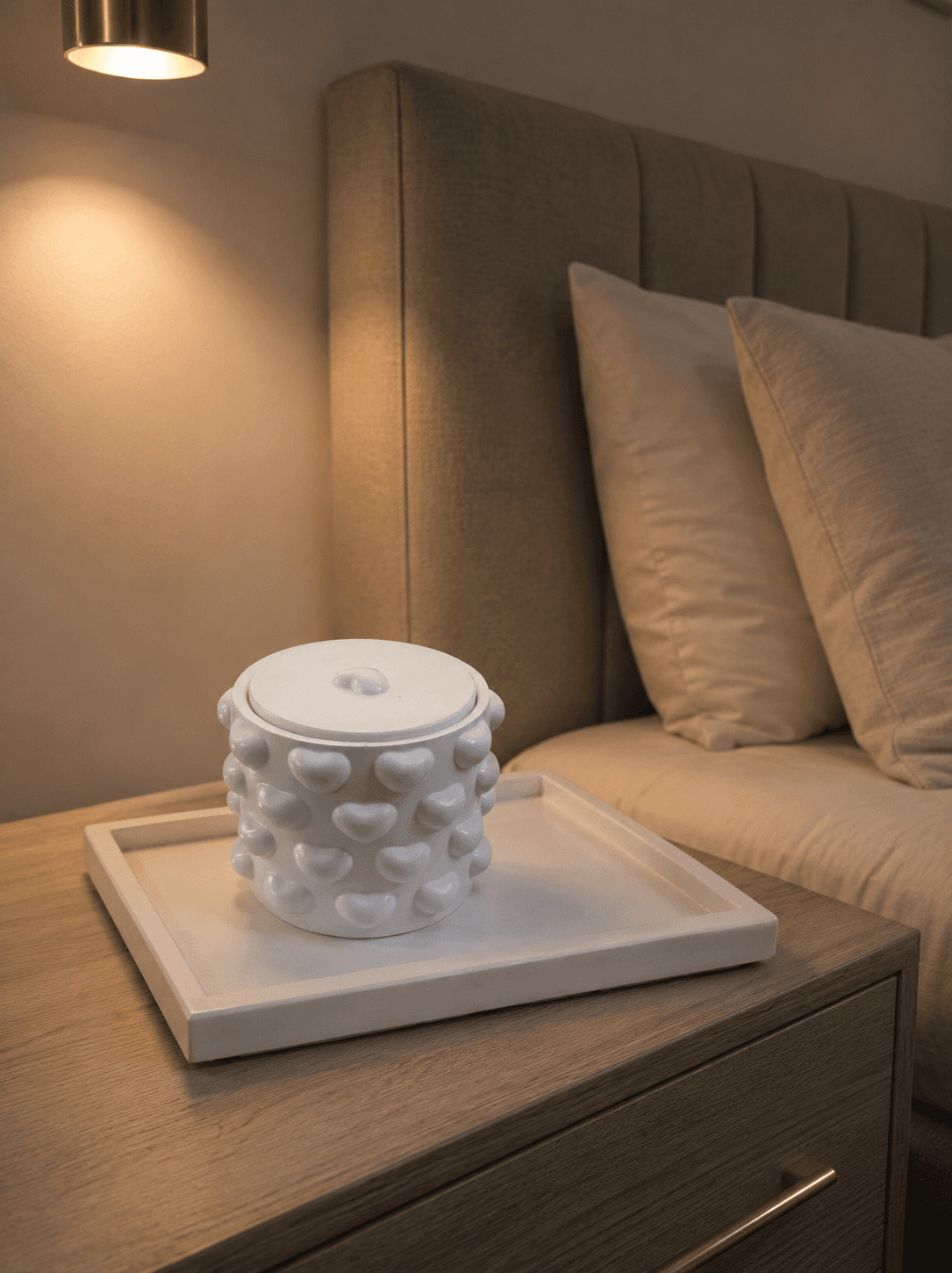 Plateaux et porte accessoires