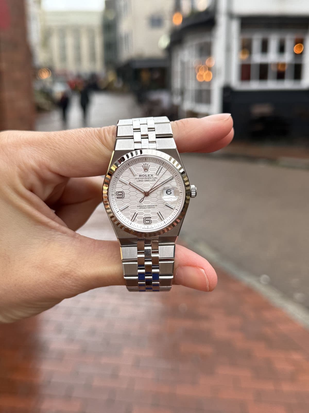 Rolex Land_Dweller Bland