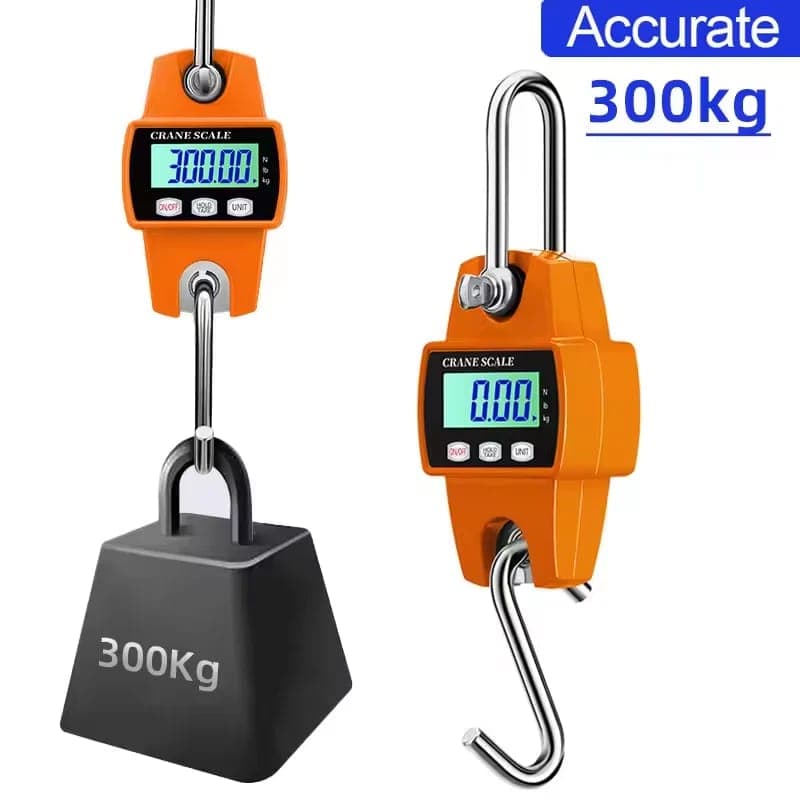 Balance Grue Électronique 300 kg – Haute Précision